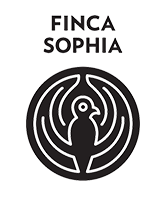 Finca Sofia Panama Coffee Farm